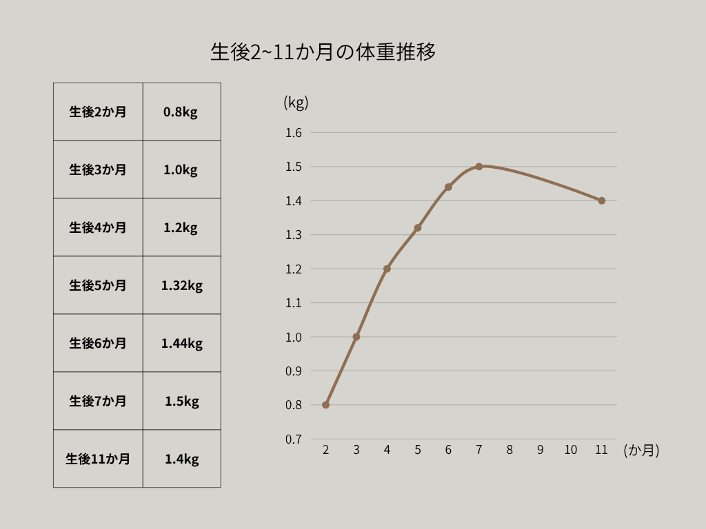 生後2〜11か月の体重推移